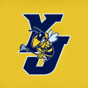 Yellow Jackets Long Island