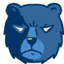 CT Grizzlies